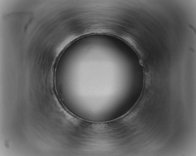 X0000100351046200806061110