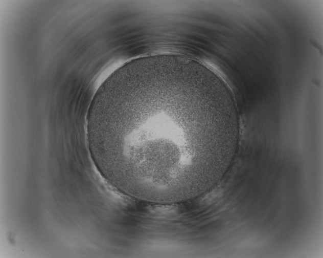 X0000100351047200806061110