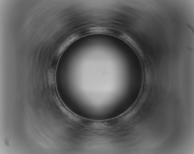 X0000100351049200806061110