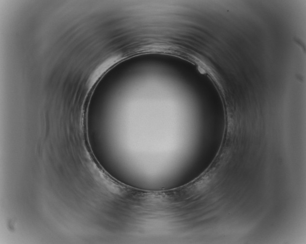 X0000100351050200806061110
