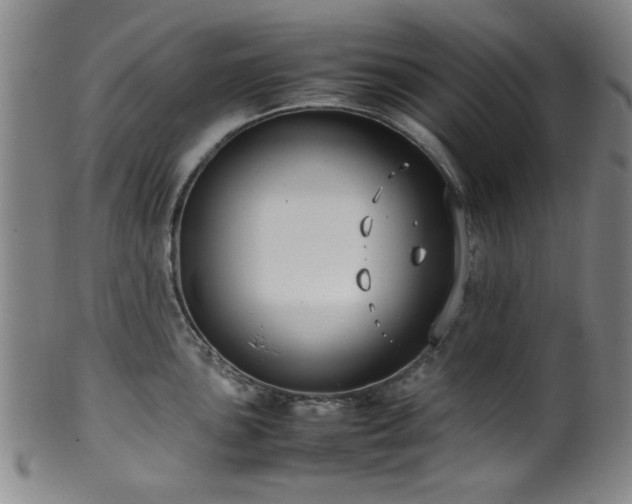X0000100351051200806061110
