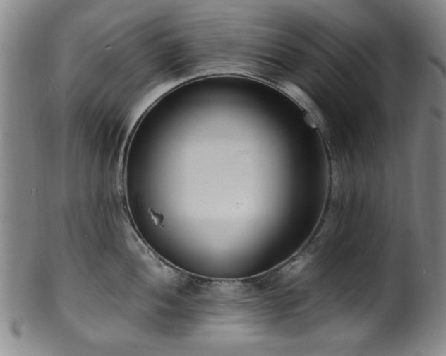X0000100351052200806061110