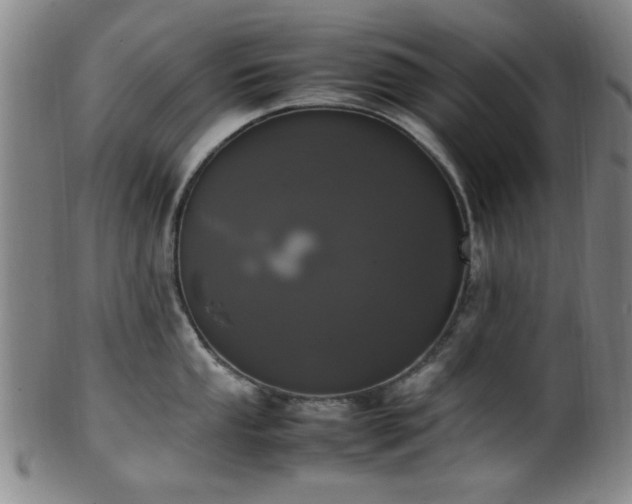 X0000100351053200806061110