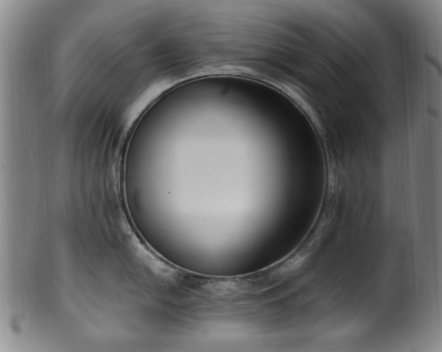X0000100351054200806061110