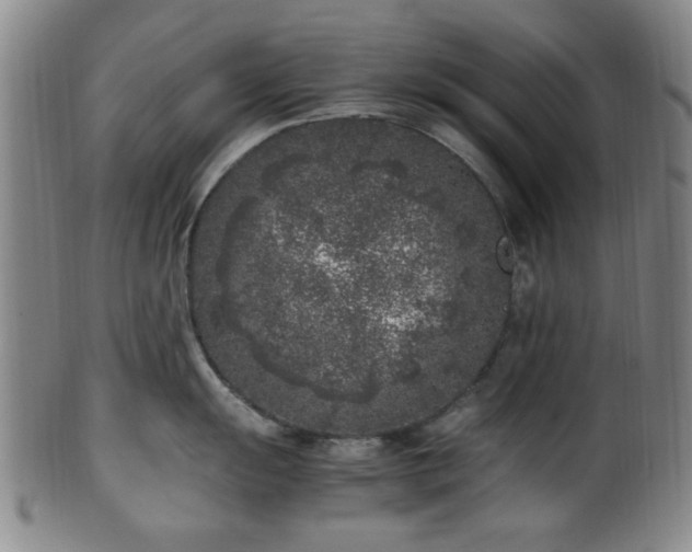 X0000100351055200806061110