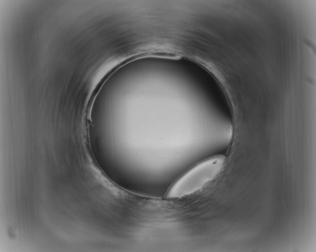 X0000100351056200806061110