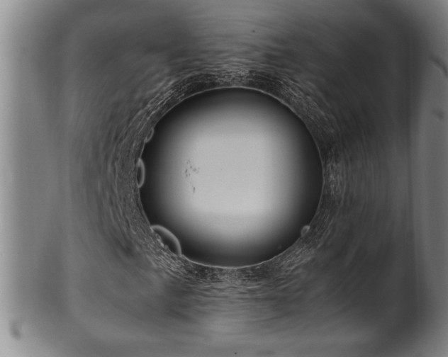 X0000100351057200806061109