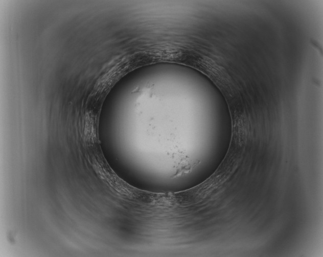 X0000100351058200806061109
