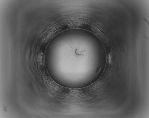 X0000100351059200806061109