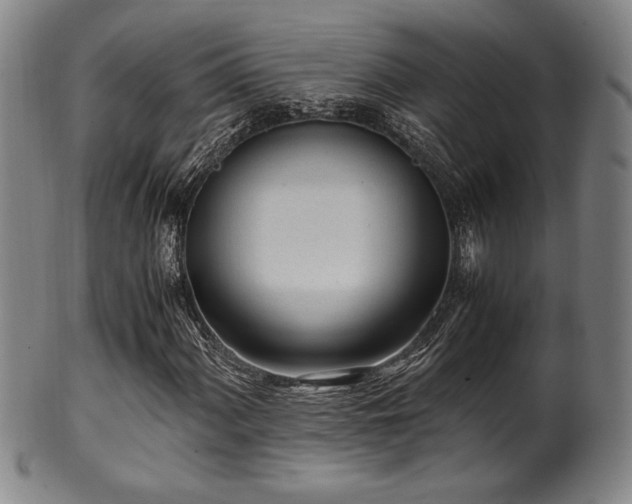 X0000100351060200806061109