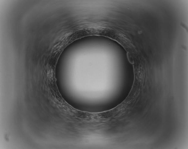 X0000100351061200806061109