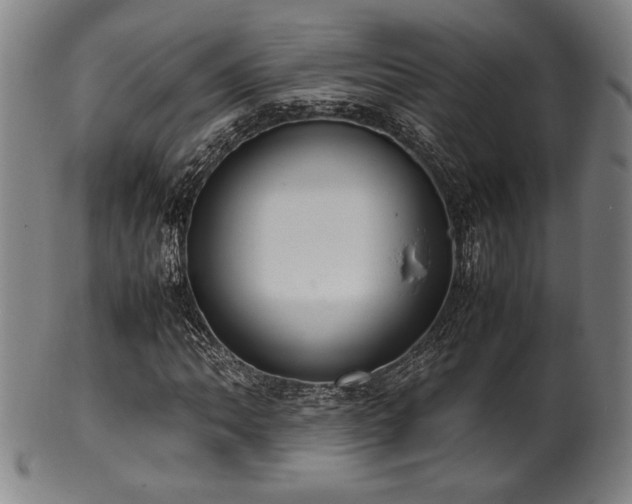X0000100351062200806061109