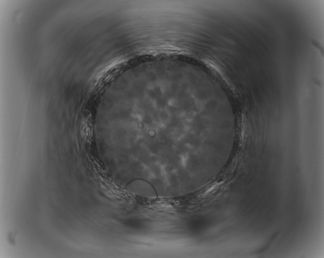 X0000100351063200806061109