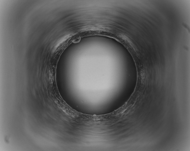 X0000100351064200806061109