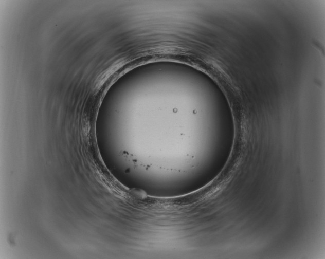 X0000100351065200806061109