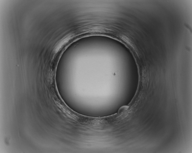 X0000100351067200806061109