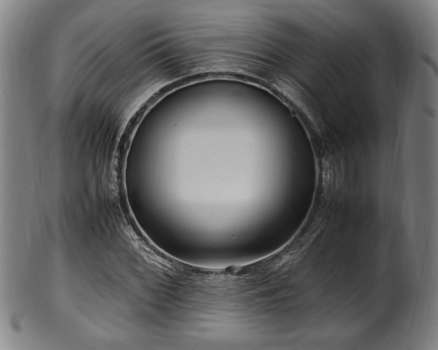 X0000100351068200806061109