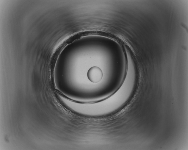 X0000100351069200806061109