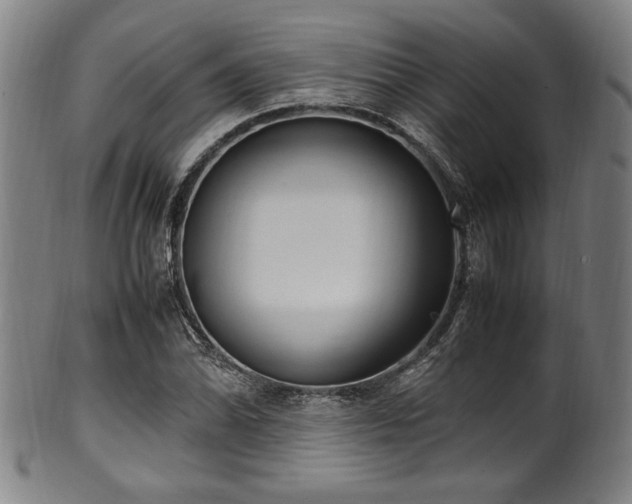 X0000100351070200806061109