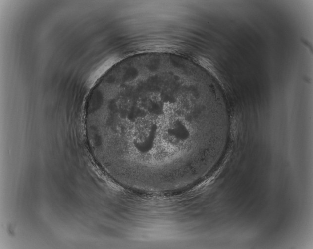 X0000100351071200806061109