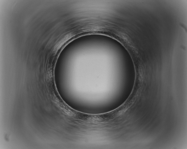 X0000100351073200806061109