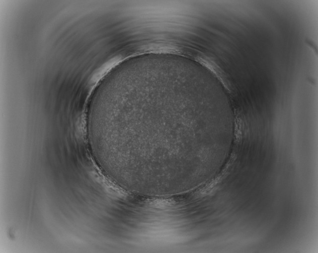 X0000100351074200806061109