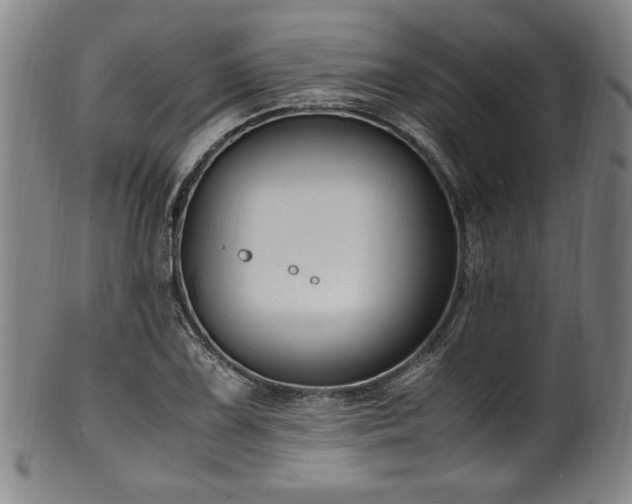 X0000100351075200806061109