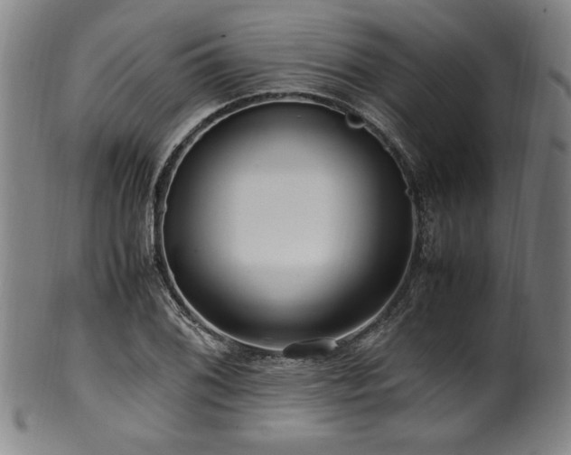 X0000100351076200806061109