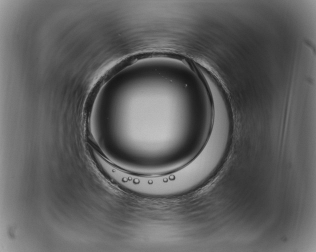 X0000100351077200806061109