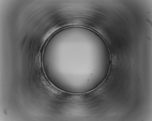 X0000100351078200806061109
