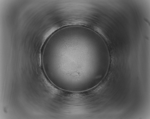 X0000100351079200806061109