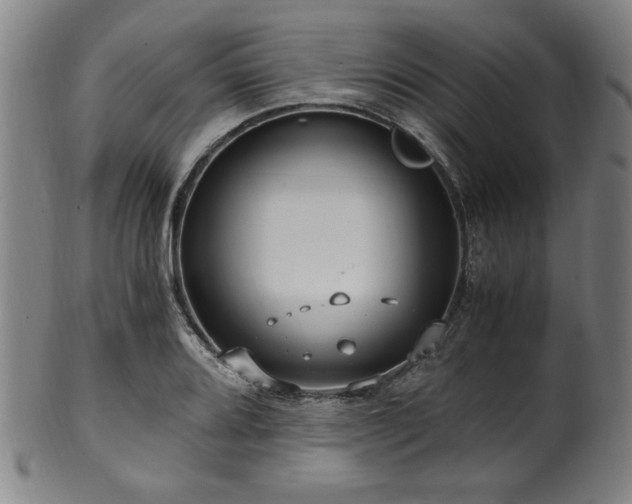X0000100351080200806061109
