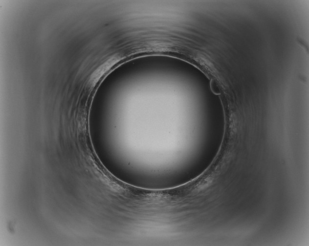 X0000100351081200806061109
