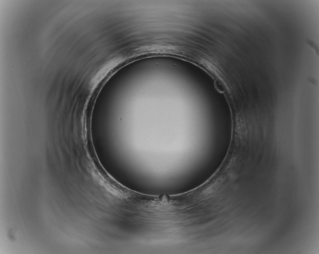 X0000100351082200806061109