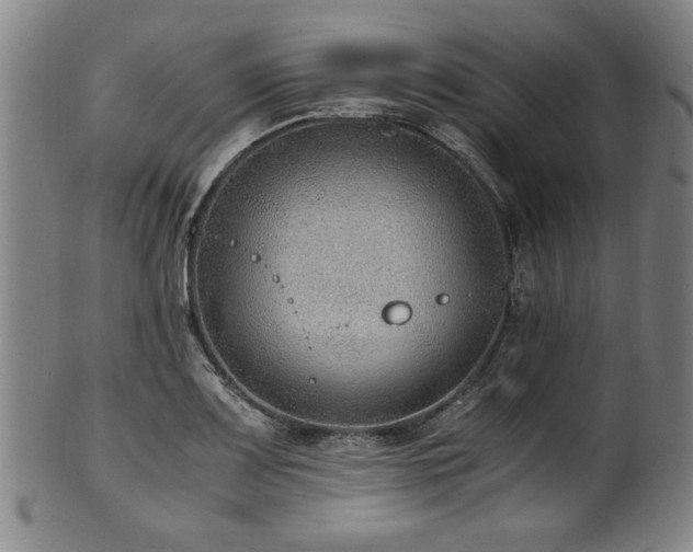 X0000100351083200806061109