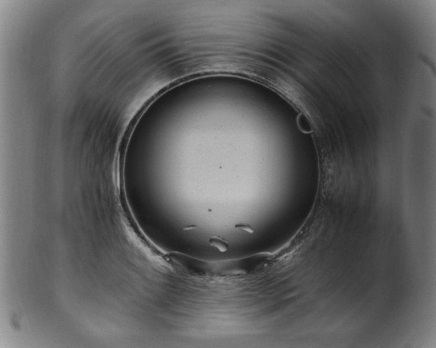X0000100351084200806061109
