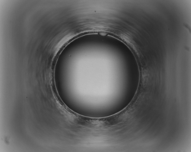 X0000100351085200806061109