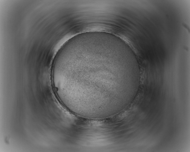 X0000100351086200806061109