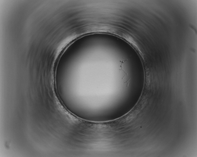 X0000100351088200806061109