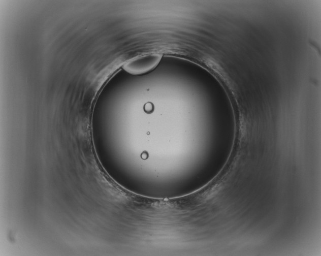 X0000100351089200806061109