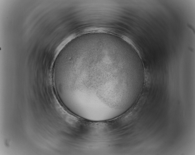 X0000100351090200806061109