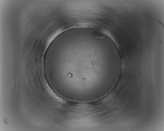 X0000100351091200806061109