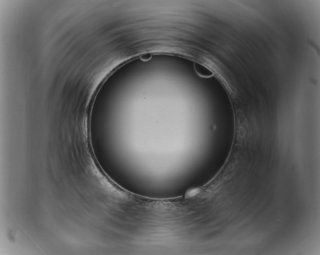 X0000100351092200806061109