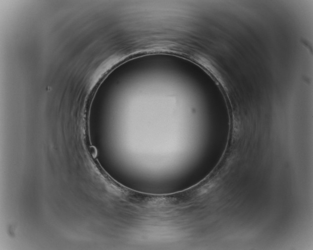 X0000100351093200806061109
