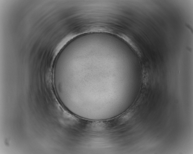 X0000100351094200806061108