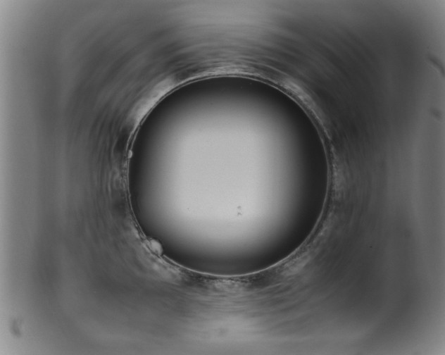 X0000100351097200806061108