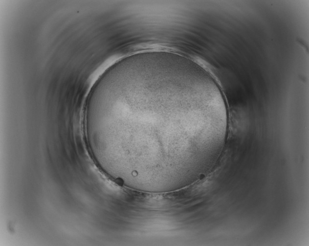 X0000100351098200806061108