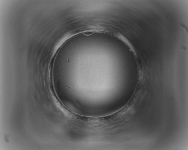 X0000100351099200806061108