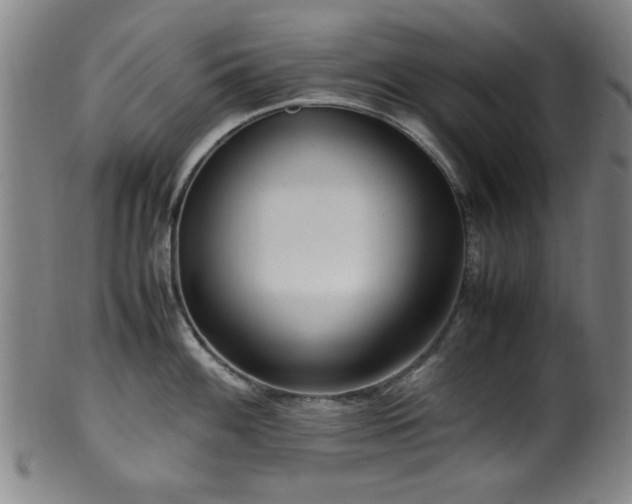 X0000100351100200806061108