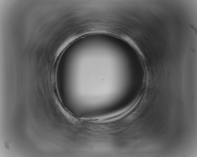 X0000100351101200806061108